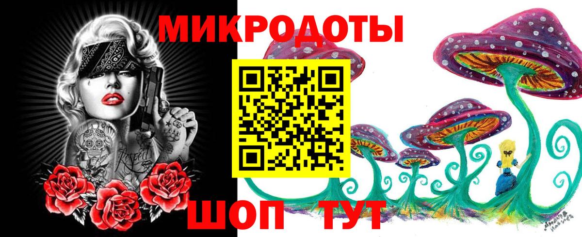 Галлюциногенные грибы мухоморы Камень-на-Оби