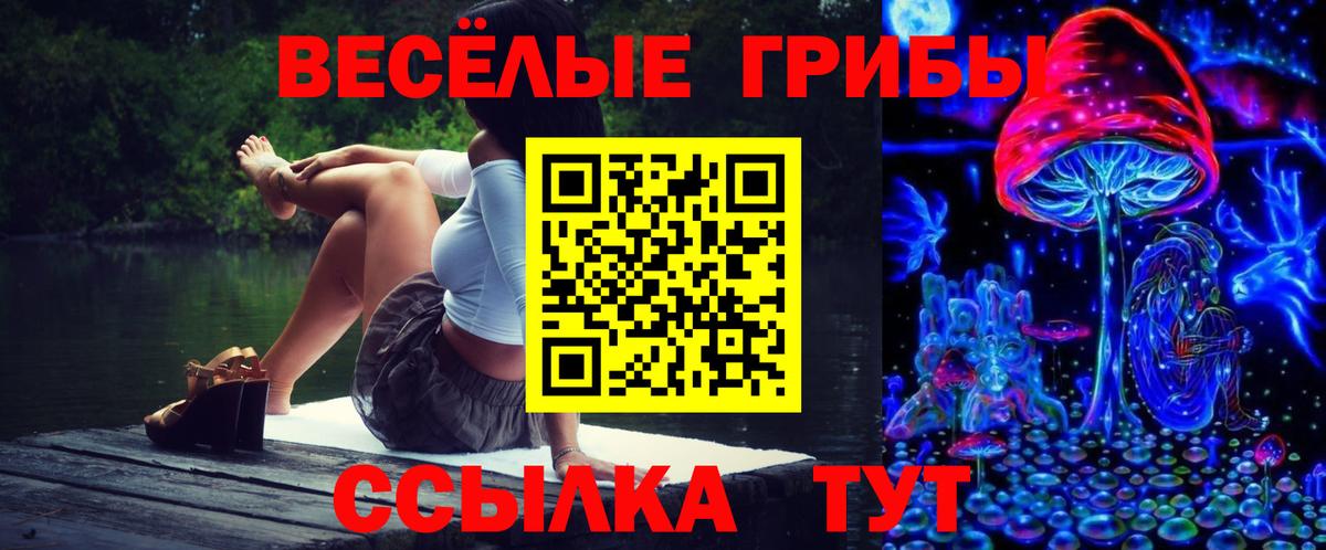 Псилоцибиновые грибы мухоморы  сколько стоит  Камень-на-Оби  Вход с VPN 