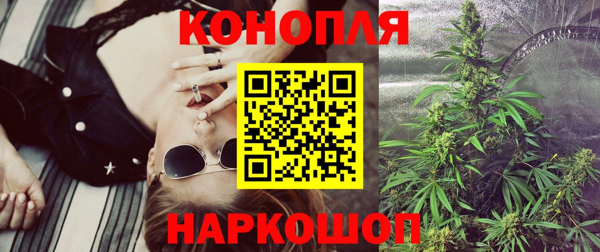 Камень-на-Оби  Марихуана план  Вход с VPN  Марихуана конопля 